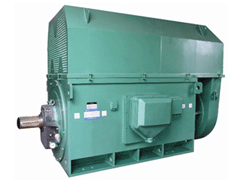 YR450-6Y系列6KV高压电机